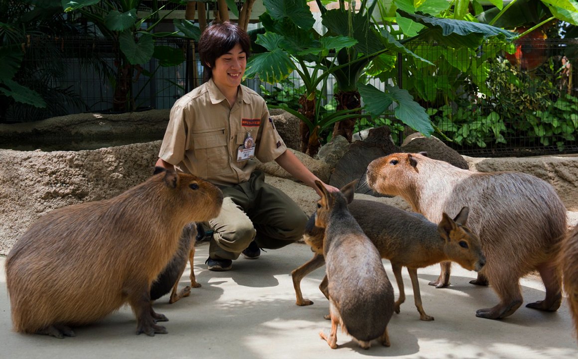 🐼 고베 시립 오지 동물원(고베 시리츠 오지 도부츠엔)